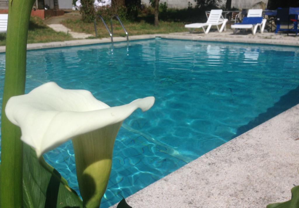 Hotel Vida Playa Paxarinas Портоново Экстерьер фото